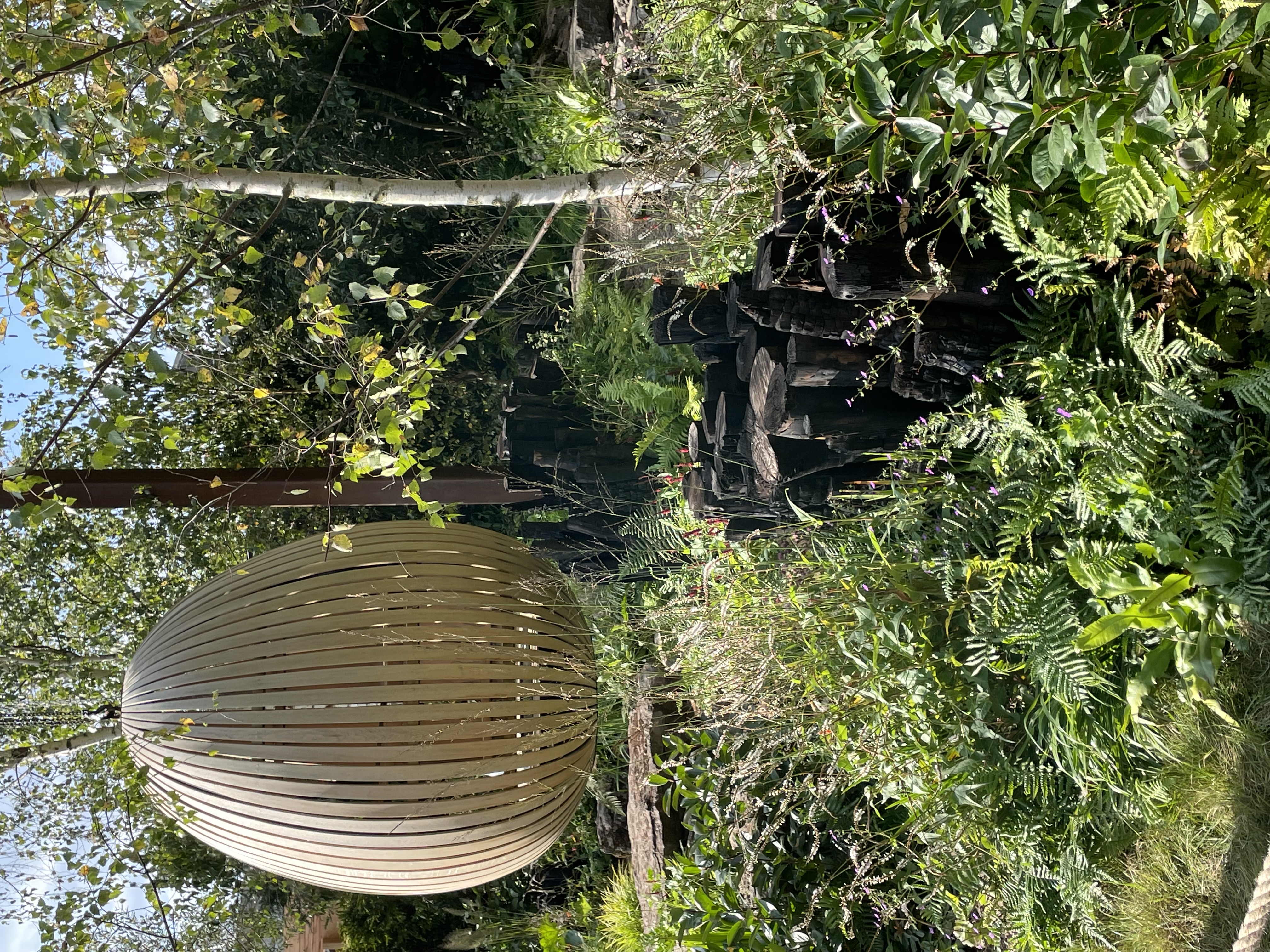 Calming landscape photograph for fees page