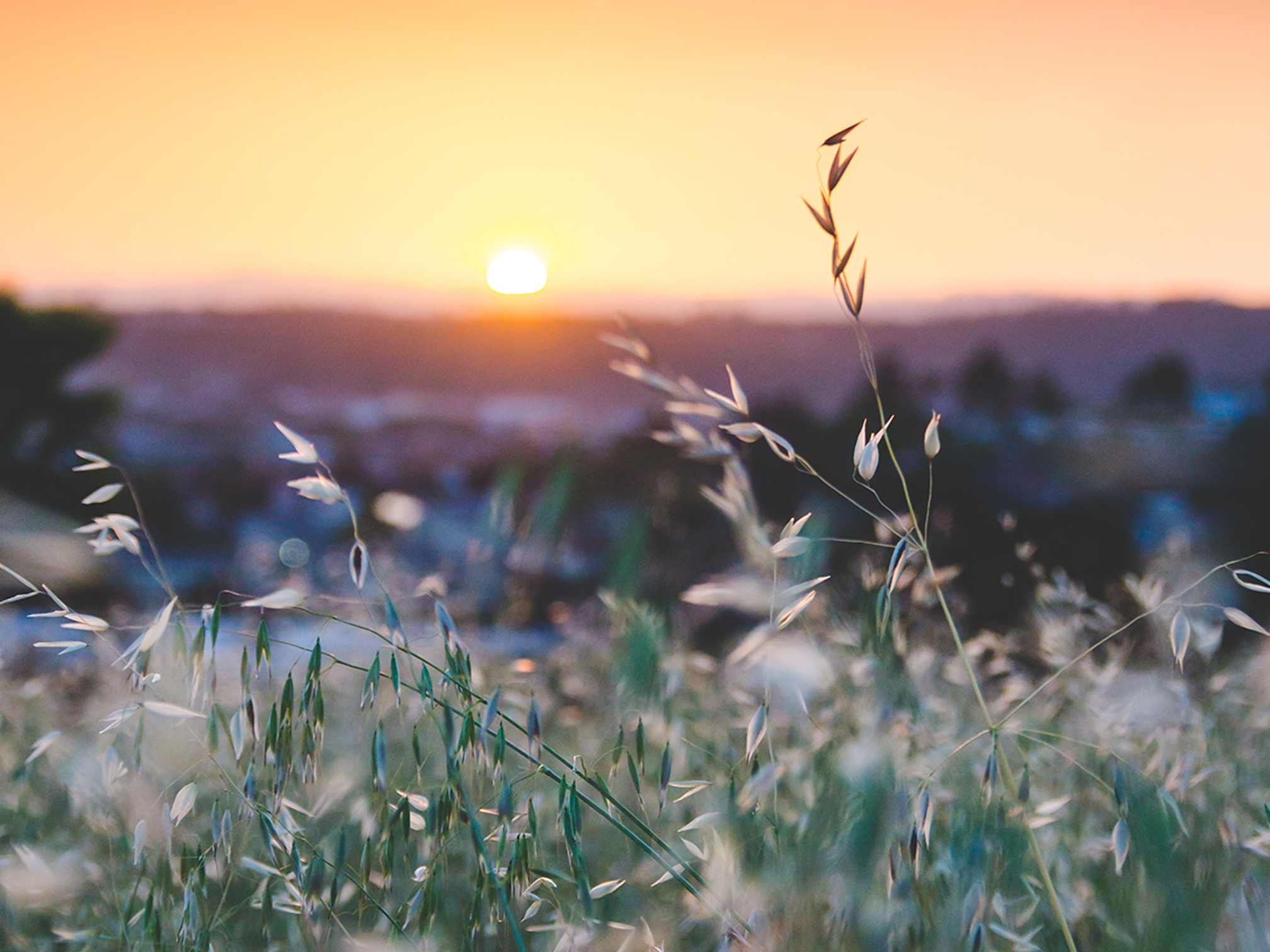 Landscape photograph evoking calm